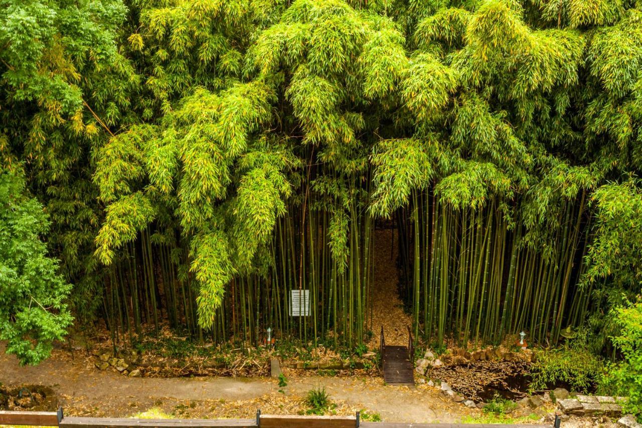 La Verrerie Гайак Экстерьер фото